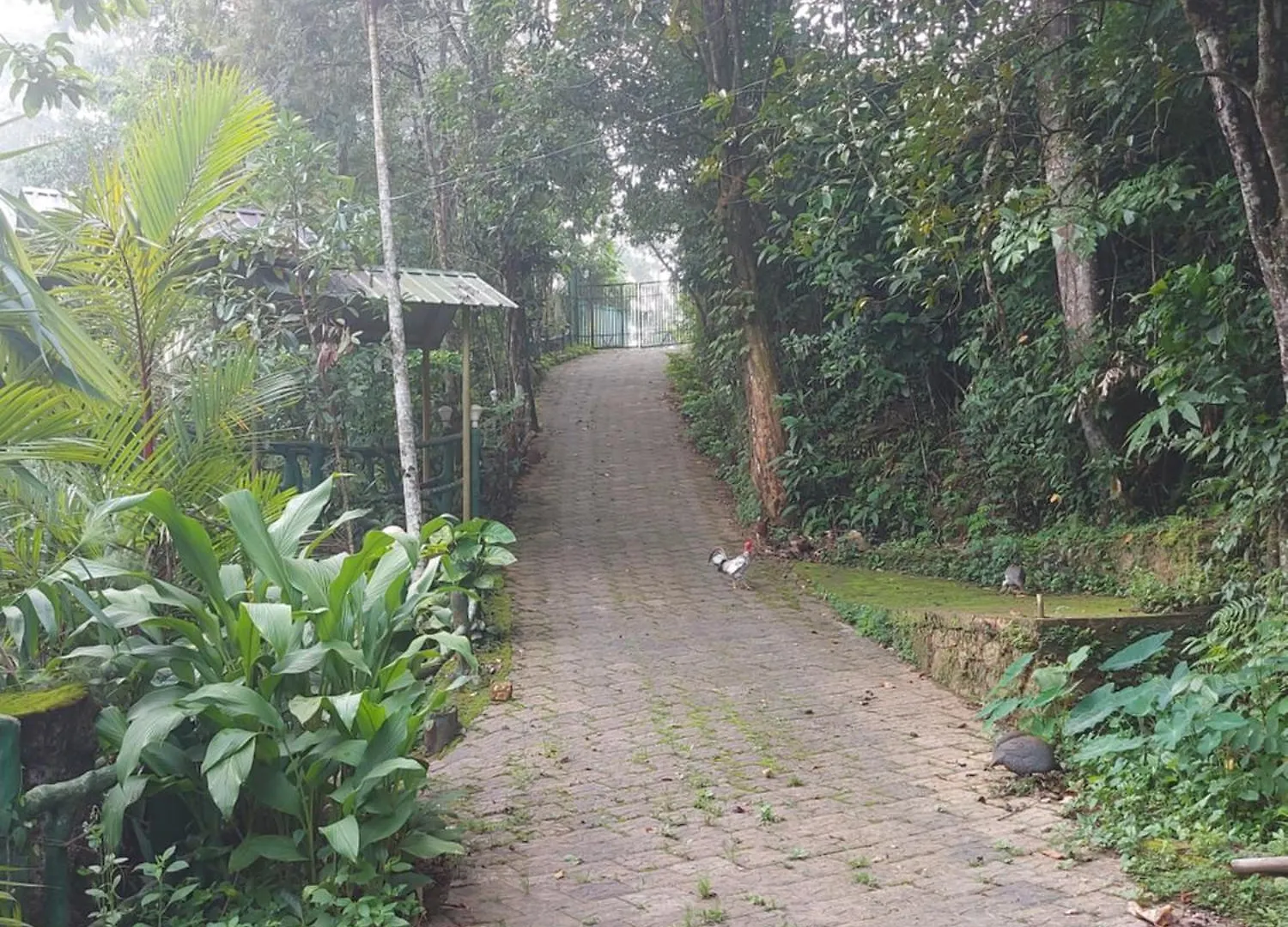 B'Camp Resorts & Homestays Wayanad 3*,