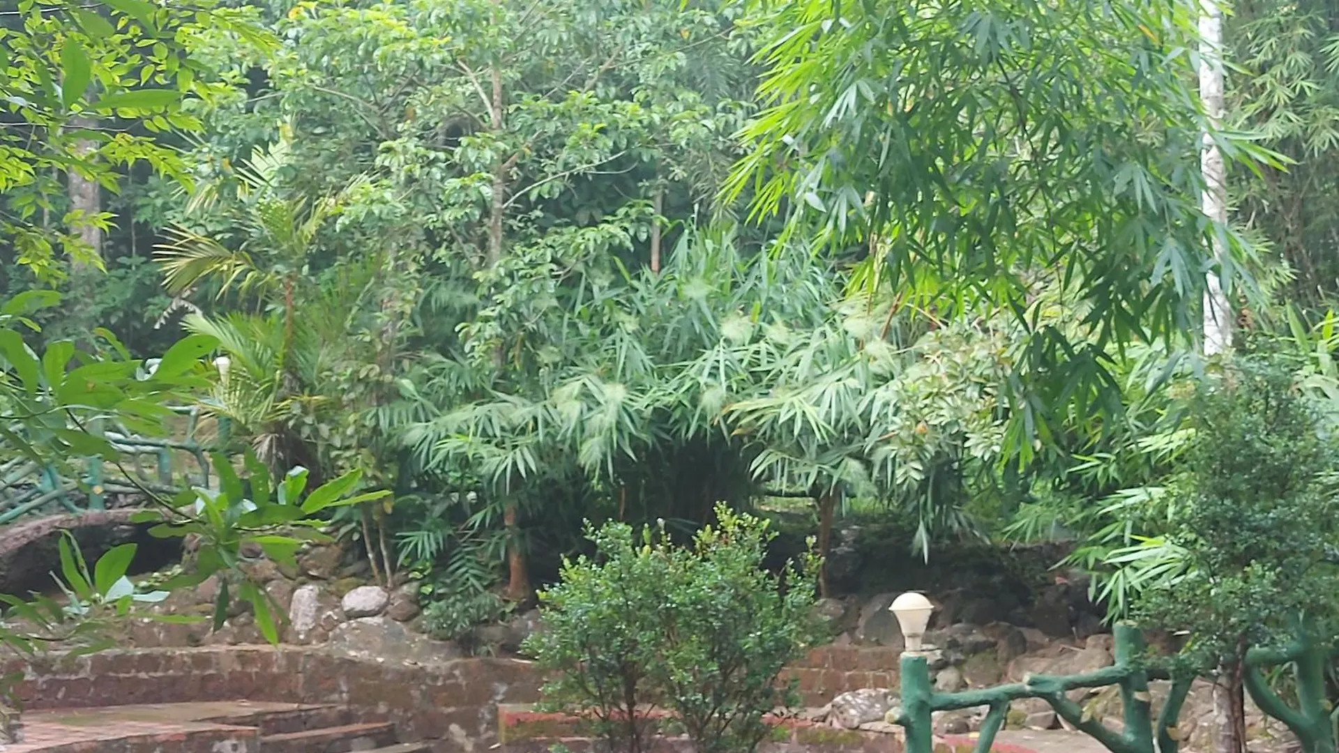 B'Camp Resorts & Homestays Wayanad
