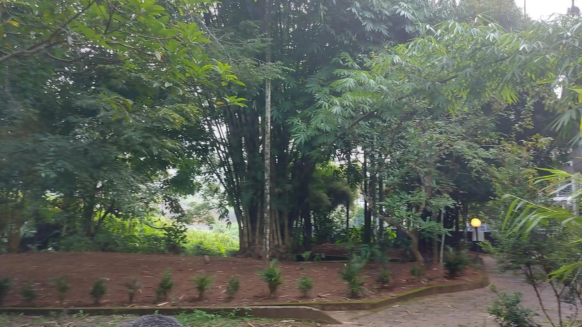 Otel B'Camp Resorts & Homestays Wayanad